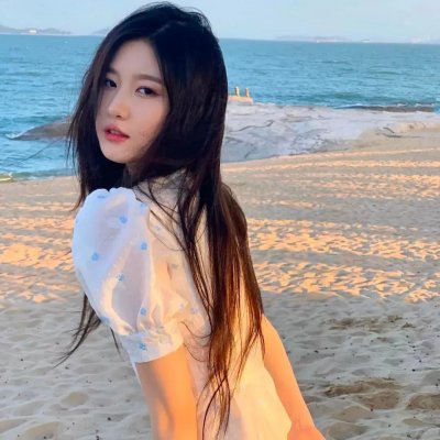 大明星丽莎