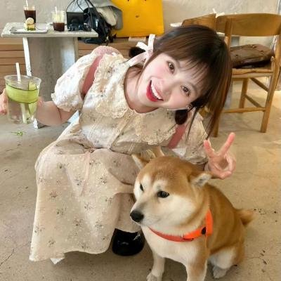 到达挚爱
